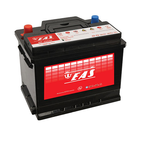Car Battery 50 Amper Sealed EAS